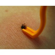 TICK TWISTER CLIP BOX KLESZCZOŁAPKI