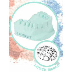 Gips STODENT III jasnozielony zapach mango 25kg EVERALL7