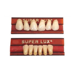 Zęby akrylowe - przody 6szt płytka SUPER LUX MIFAM