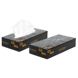 Chusteczki higieniczne CILES opak. 100szt HOBERG