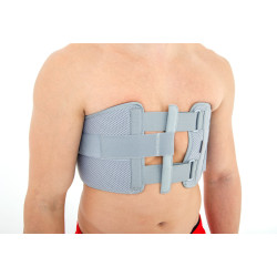 Uniwersalny PAS TORAKO AM-TX-02 REH4MAT