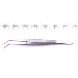 Pinceta stomatologiczna jednogięta College 15 cm ze stali nierdzewnej INC 2255/2