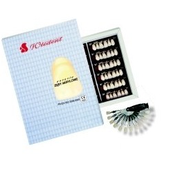 ZĘBY AKRYLOWE WIEDENT ESTETIC - Boki 8szt